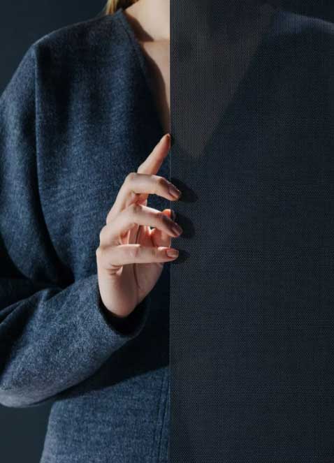 The title goes here.